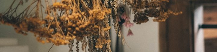 Trockenblumenarrangement in warmen Farbtönen vor einem neutralen Hintergrund.