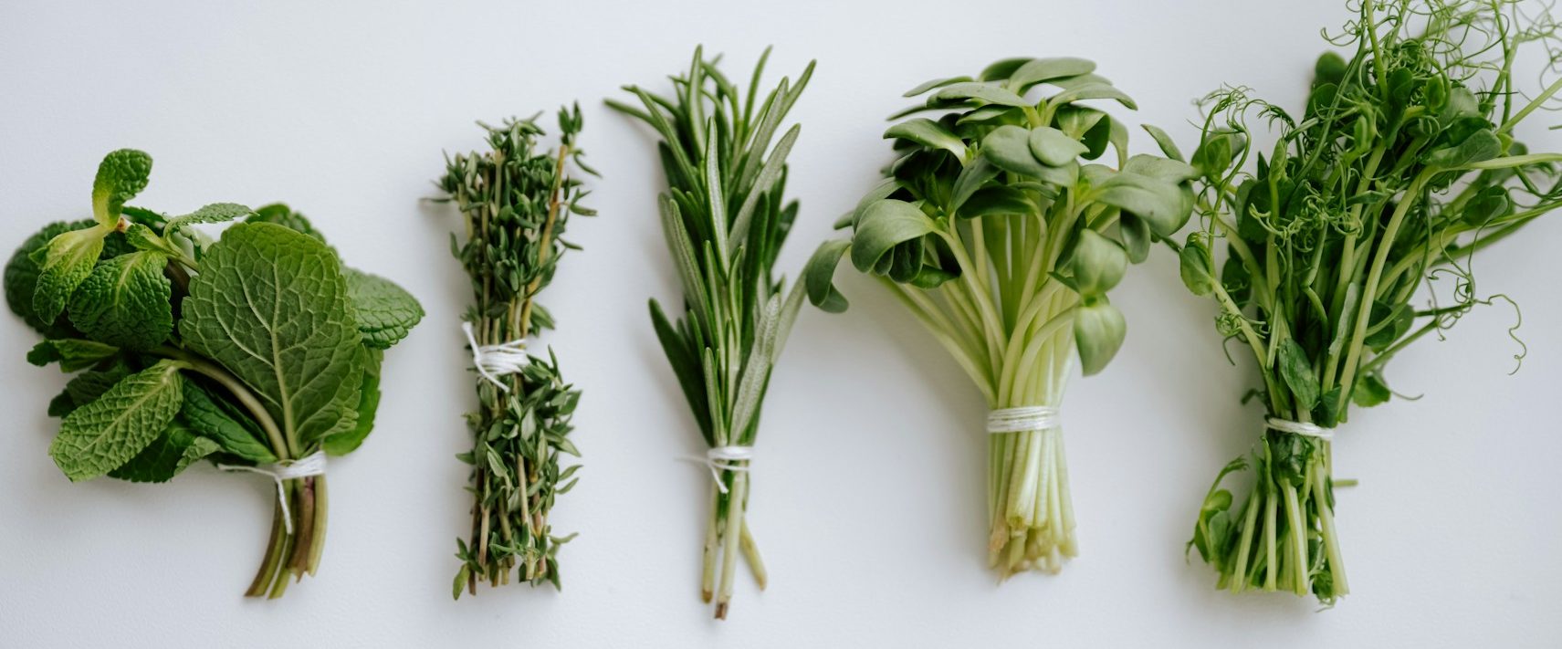 Fünf unterschiedlich gebündelte Kräuter auf weißem Hintergrund.